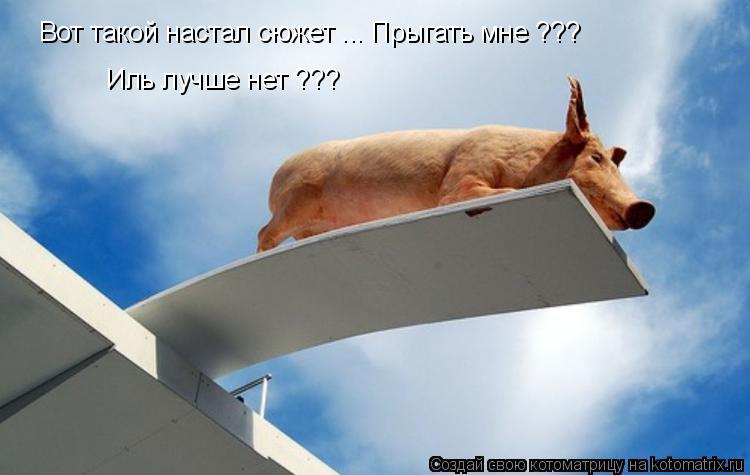 Котоматрица: Вот такой настал сюжет ... Прыгать мне ??? Иль лучше нет ???