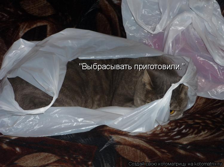 Котоматрица: "Выбрасывать приготовили."