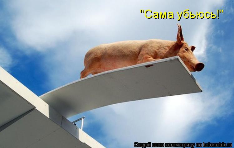 Котоматрица: "Сама убьюсь!"