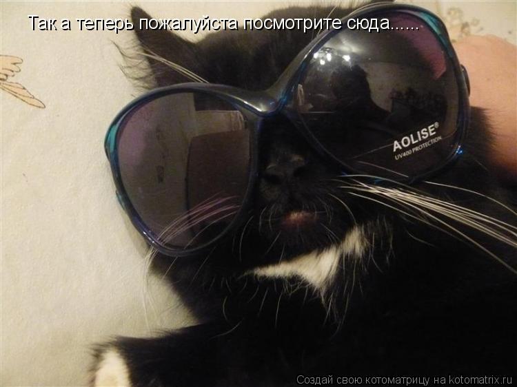 Котоматрица: Так а теперь пожалуйста посмотрите сюда......