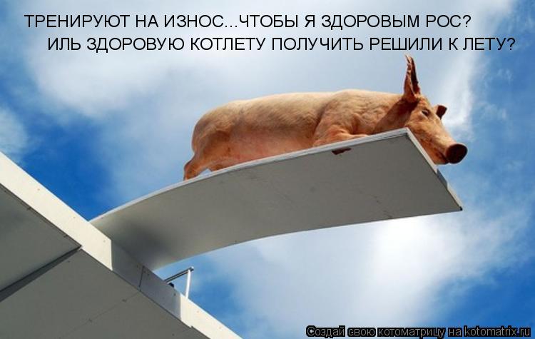Котоматрица: ТРЕНИРУЮТ НА ИЗНОС...ЧТОБЫ Я ЗДОРОВЫМ РОС? ИЛЬ ЗДОРОВУЮ КОТЛЕТУ ПОЛУЧИТЬ РЕШИЛИ К ЛЕТУ?