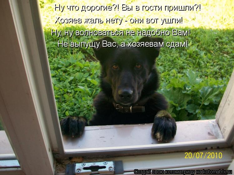Котоматрица: Ну что дорогие?! Вы в гости пришли?! Хозяев жаль нету - они вот ушли! Ну, ну волноваться не надобно Вам! Не выпущу Вас, а хозяевам сдам!