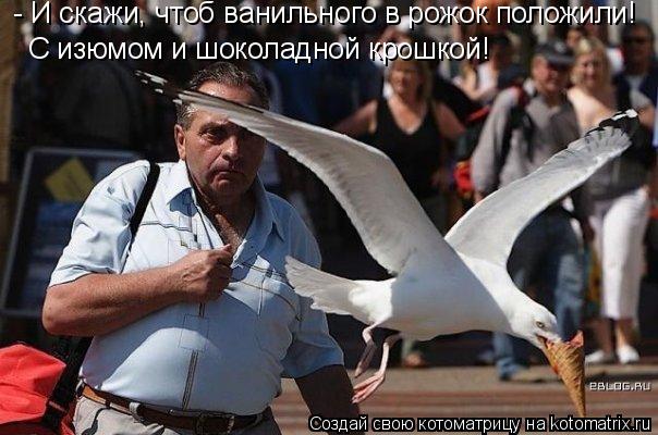 Котоматрица: - И скажи, чтоб ванильного в рожок положили!  С изюмом и шоколадной крошкой!