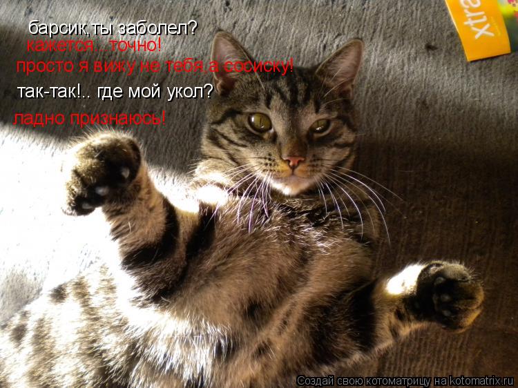 Котоматрица: барсик,ты заболел? кажется...точно! просто я вижу не тебя,а сосиску! так-так!.. где мой укол? ладно признаюсь!