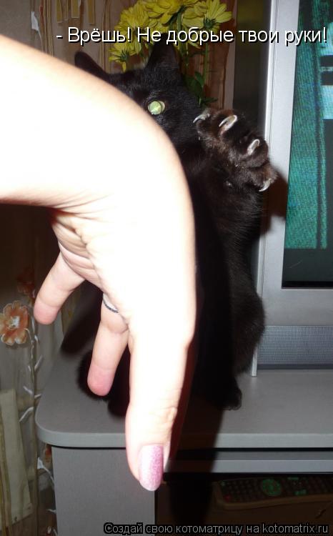 Котоматрица: - Врёшь! Не добрые твои руки!