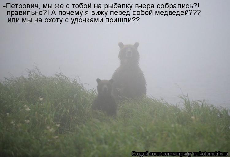 Котоматрица: -Петрович, мы же с тобой на рыбалку вчера собрались?! правильно?! А почему я вижу перед собой медведей??? или мы на охоту с удочками пришли??
