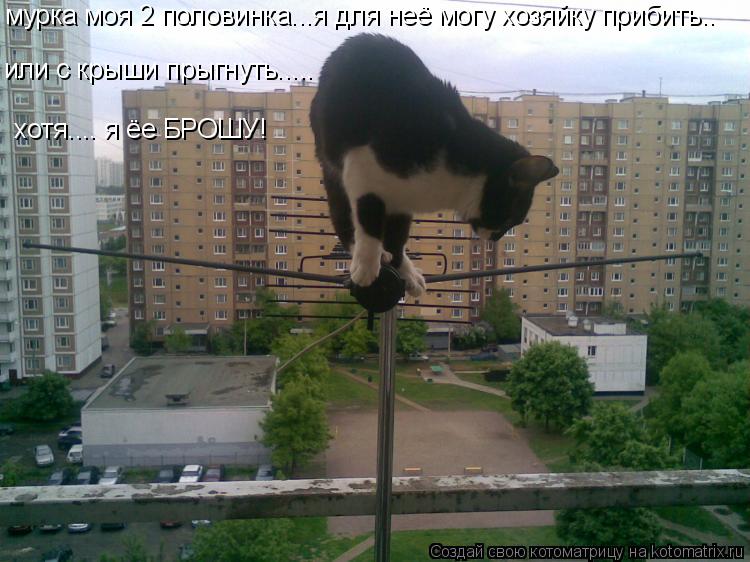 Котоматрица: мурка моя 2 половинка...я для неё могу хозяйку прибить.. или с крыши прыгнуть..... хотя.... я ёе БРОШУ!