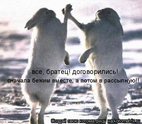 Котоматрица: все, братец! договорились!  сначала бежим вместе, а потом в рассыпную!!