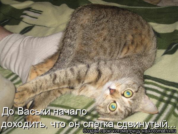 Котоматрица: До Васьки начало доходить, что он слегка сдвинутый...