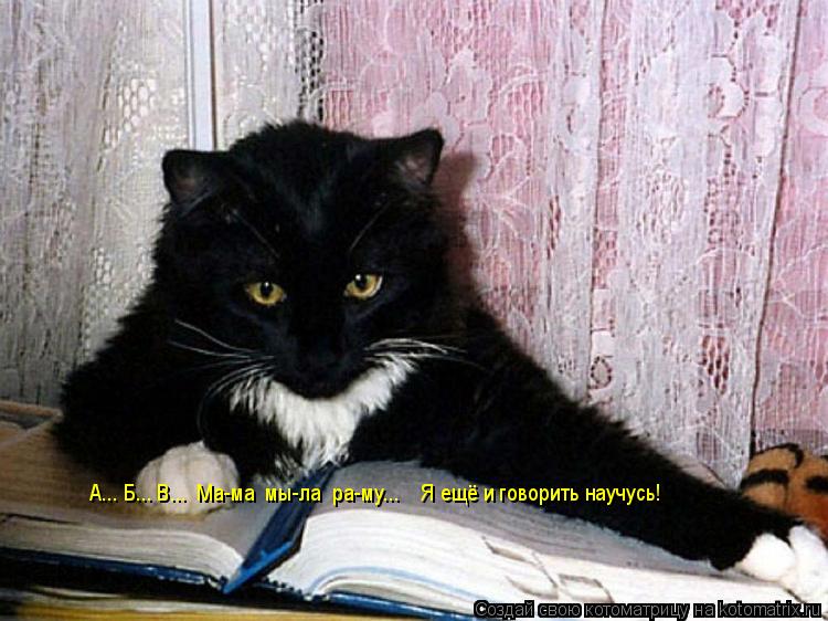 Котоматрица: А... Б... В...  Ма-ма  мы-ла  ра-му... А... Б... В...  Ма-ма  мы-ла  ра-му...    Я ещё и говорить научусь!
