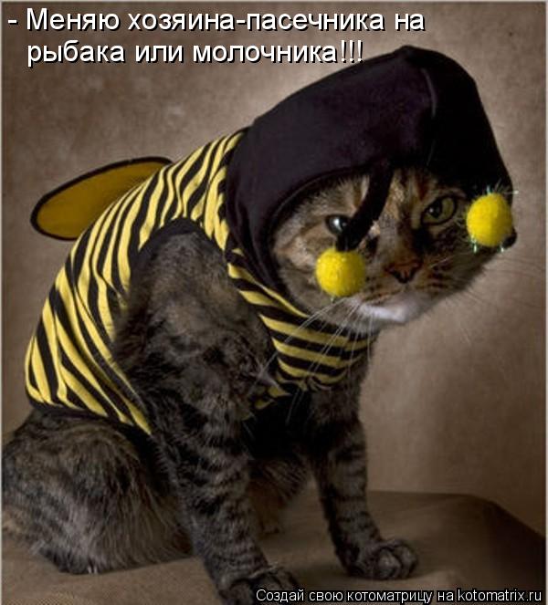 Котоматрица: - Меняю хозяина-пасечника на рыбака или молочника!!!