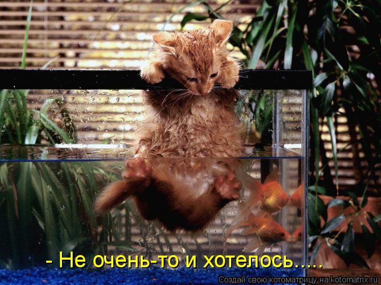Котоматрица: - Не очень-то и хотелось.....