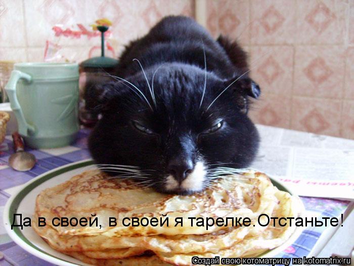 Котоматрица: Да в своей, в своей я тарелке.Отстаньте!