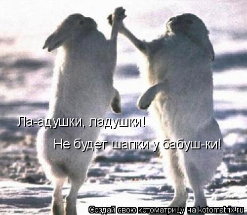 Котоматрица: Ла-адушки, ладушки! Не будет шапки у бабуш-ки!