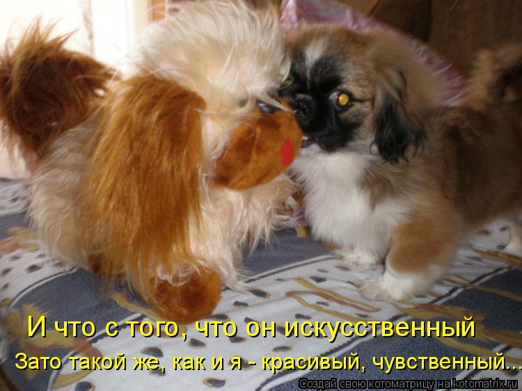 Котоматрица: И что с того, что он искусственный И что с того, что он искусственный Зато такой же, как и я - красивый, чувственный...