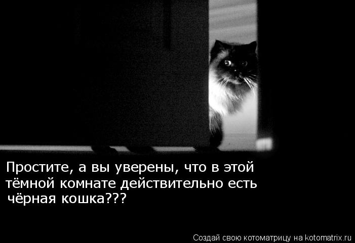 Котоматрица: Простите, а вы уверены, что в этой тёмной комнате действительно есть чёрная кошка??? чёрная кошка???