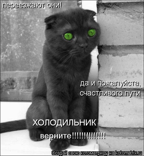 Котоматрица: переезжают они! да и пожалуйста,  счастливого пути ХОЛОДИЛЬНИК верните!!!!!!!!!!!!!!