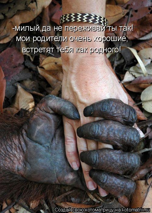 Котоматрица: -милый,да не переживай ты так! мои родители очень хорошие, встретят тебя как родного!