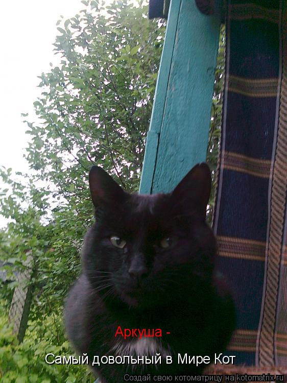 Котоматрица: Самый довольный в Мире Кот Аркуша -