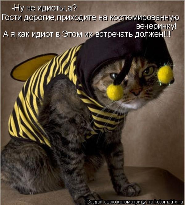 Котоматрица: -Ну не идиоты,а? Гости дорогие,приходите на костюмированную вечеринку! А я,как идиот в Этом их встречать должен!!!