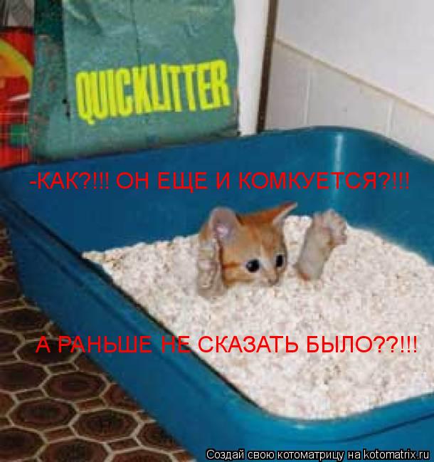 Котоматрица: -КАК?!!! ОН ЕЩЕ И КОМКУЕТСЯ?!!! А РАНЬШЕ НЕ СКАЗАТЬ БЫЛО??!!!