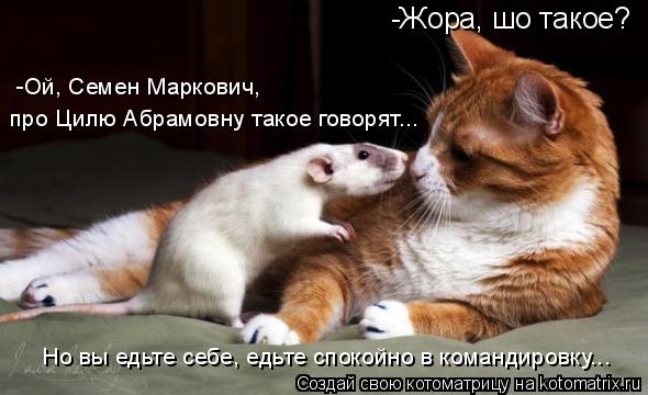 Котоматрица: -Жора, шо такое? -Ой, Семен Маркович,  про Цилю Абрамовну такое говорят... Но вы едьте себе, едьте спокойно в командировку...