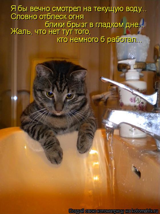 Котоматрица: Я бы вечно смотрел на текущую воду... Словно отблеск огня блики брызг в гладком дне... Жаль, что нет тут того,  кто немного б работал...