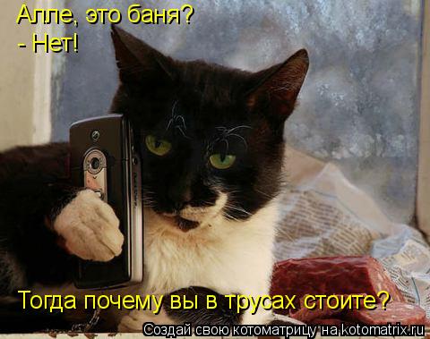 Котоматрица: Алле, это баня?  - Нет! Тогда почему вы в трусах стоите?