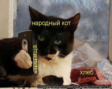 Котоматрица: хлеб... зрелища... народный кот
