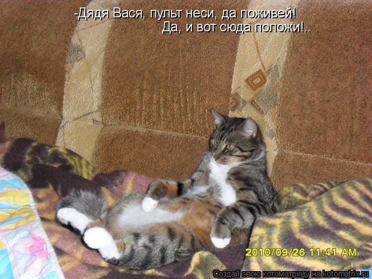 Котоматрица: -Дядя Вася, пульт неси, да поживей! Да, и вот сюда положи!..