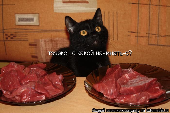 Котоматрица: тэээкс...с какой начинать-с?