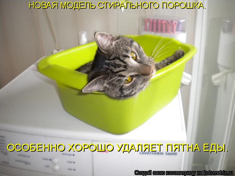 Котоматрица: НОВАЯ МОДЕЛЬ СТИРАЛЬНОГО ПОРОШКА. ОСОБЕННО ХОРОШО УДАЛЯЕТ ПЯТНА ЕДЫ.