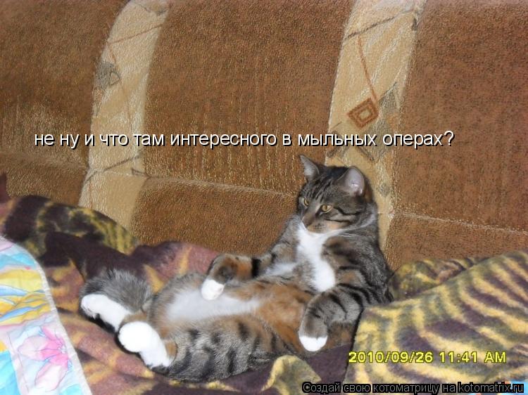 Котоматрица: не ну и что там интересного в мыльных операх?