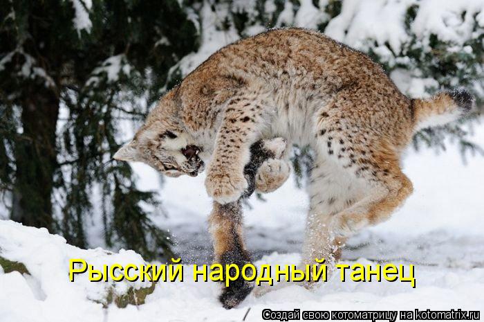 Котоматрица: Рысский народный танец