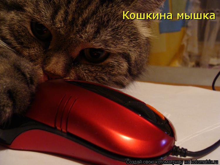Котоматрица: Кошкина мышка