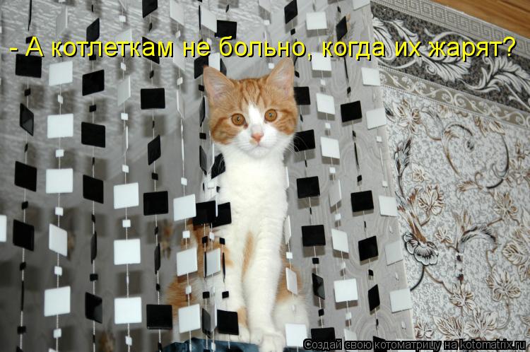 Котоматрица: - А котлеткам не больно, когда их жарят?