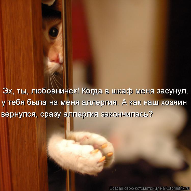 Котоматрица: Эх, ты, любовничек! Когда в шкаф меня засунул, у тебя была на меня аллергия. А как наш хозяин вернулся, сразу аллергия закончилась?