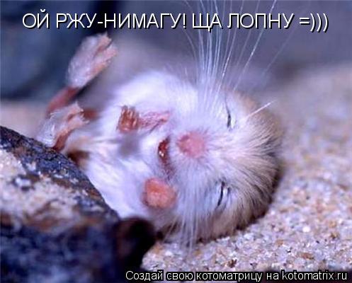 Котоматрица: ОЙ РЖУ-НИМАГУ! ЩА ЛОПНУ =)))