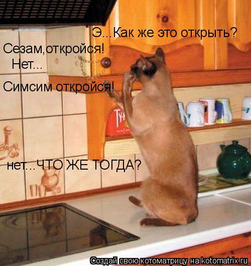 Котоматрица: Э...Как же это открыть? Сезам,откройся! Нет... Симсим откройся! нет...ЧТО ЖЕ ТОГДА?