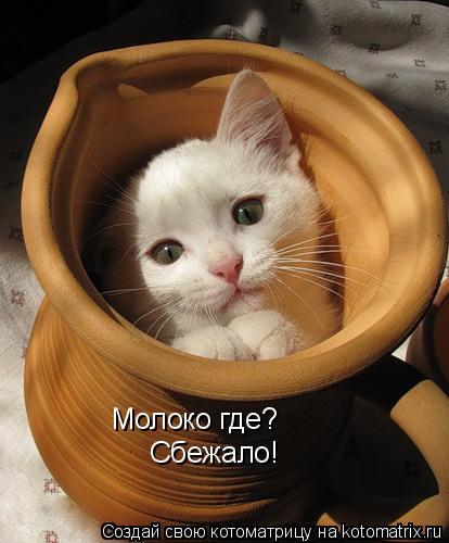 Котоматрица: Молоко где? Сбежало!