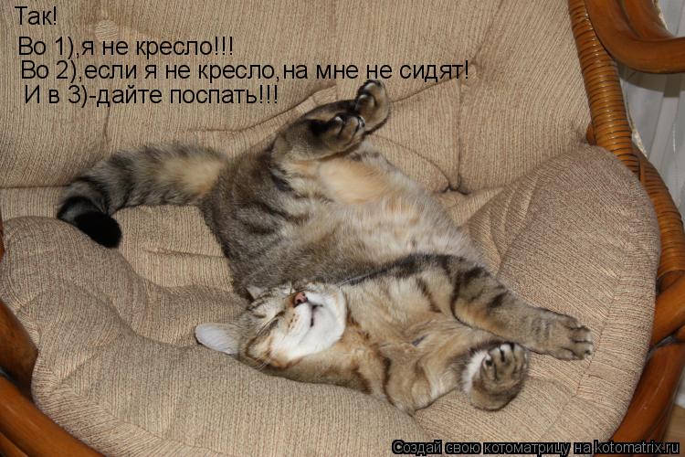 Котоматрица: Так! Во 1),я не кресло!!! Во 2),если я не кресло,на мне не сидят! И в 3)-дайте поспать!!!