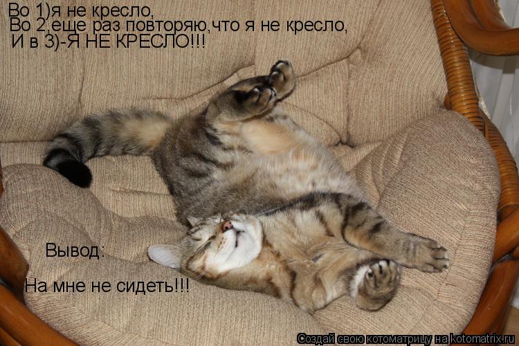 Котоматрица: Во 1)я не кресло, Во 2,еще раз повторяю,что я не кресло, И в 3)-Я НЕ КРЕСЛО!!! Вывод: На мне не сидеть!!!