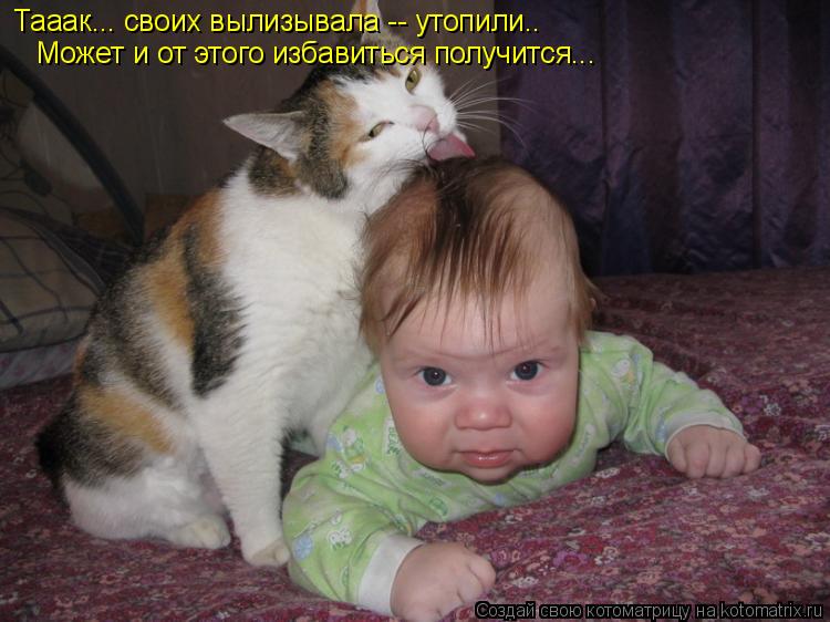 Котоматрица: Тааак... своих вылизывала -- утопили.. Может и от этого избавиться получится...