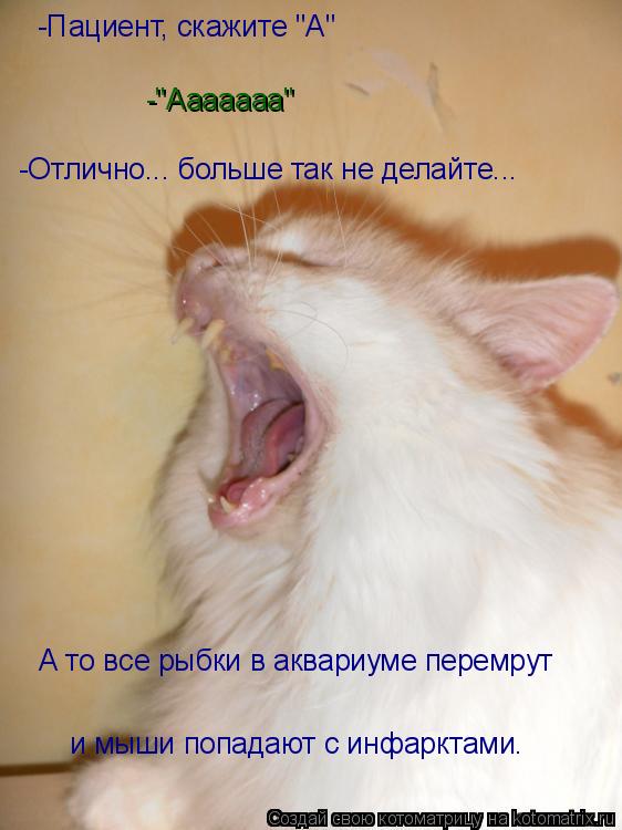 Котоматрица: -Пациент, скажите "А" -Отлично... больше так не делайте... А то все рыбки в аквариуме перемрут и мыши попадают с инфарктами. -"Ааааааа"