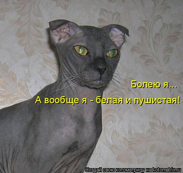 Котоматрица: Болею я... А вообще я - белая и пушистая!