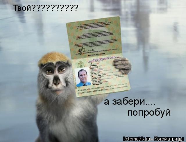 Котоматрица: Твой?????????? а забери.... попробуй