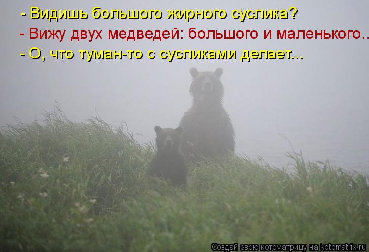 Котоматрица: - Видишь большого жирного суслика? - Вижу двух медведей: большого и маленького... - О, что туман-то с сусликами делает...