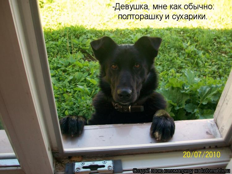 Котоматрица: -Девушка, мне как обычно: полторашку и сухарики.