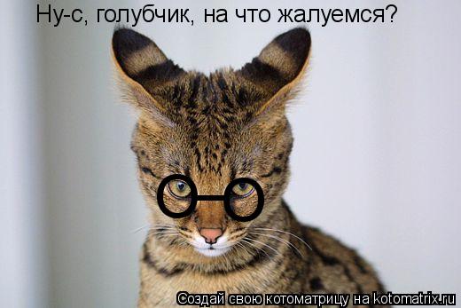 Котоматрица: _ O O Ну-с, голубчик, на что жалуемся?