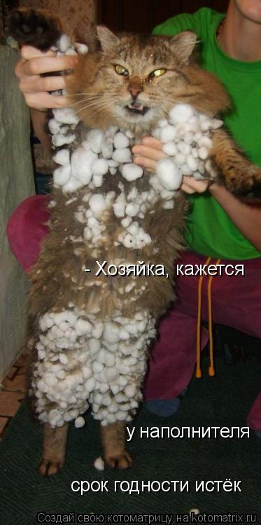 Котоматрица: - Хозяйка, кажется у наполнителя срок годности истёк